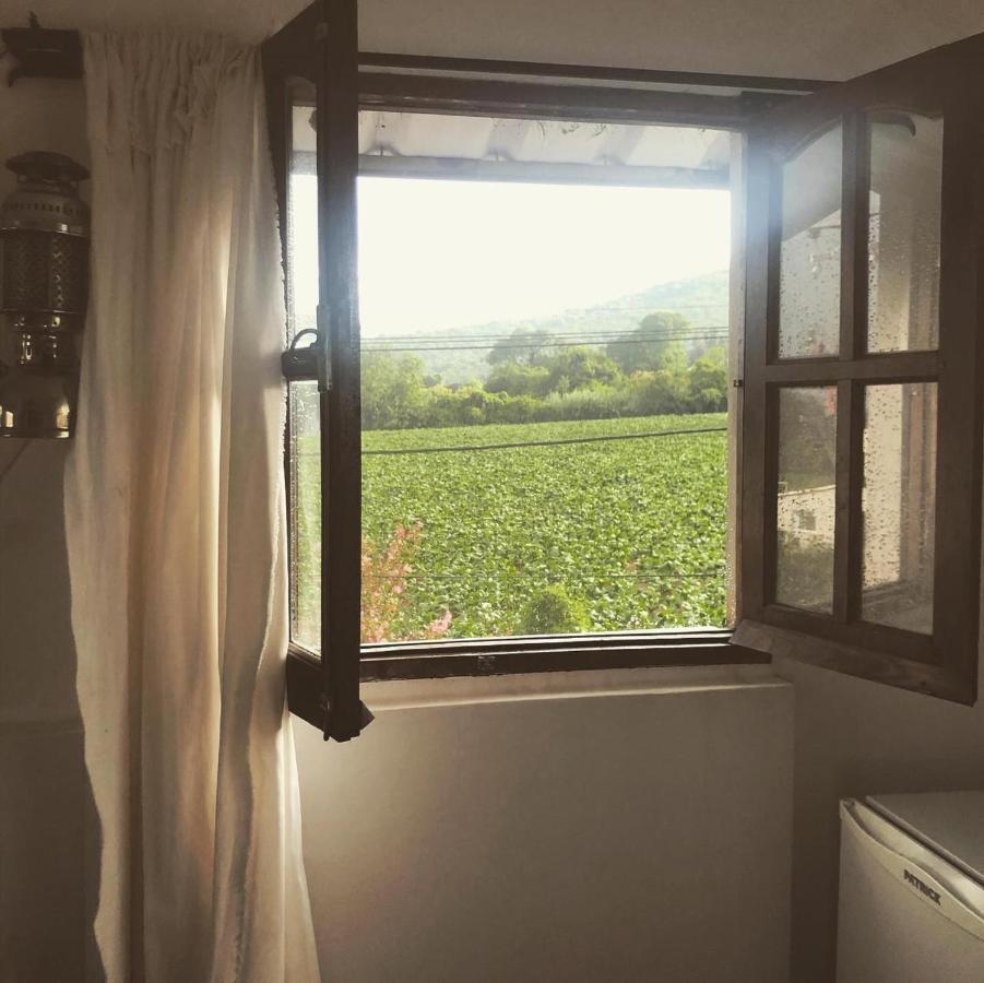 Hostal Los Faroles 치코아나 외부 사진